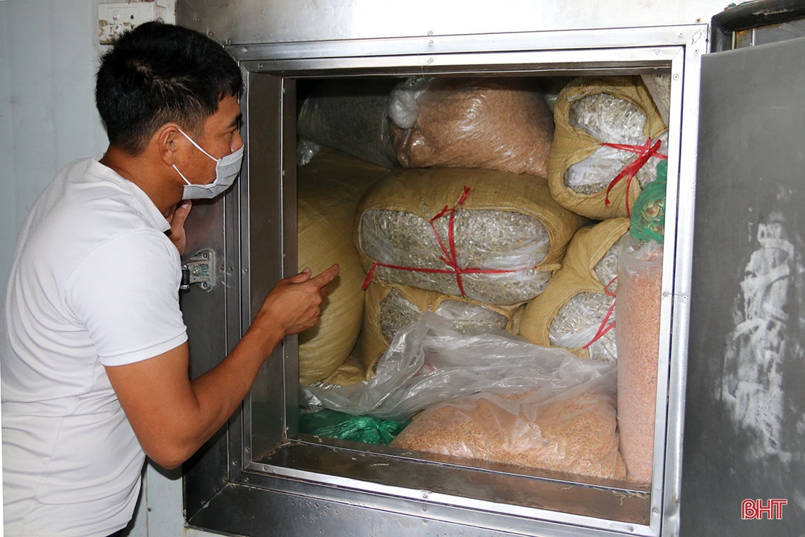 Ngư dân phía Nam Hà Tĩnh được mùa cá cơm, ruốc biển