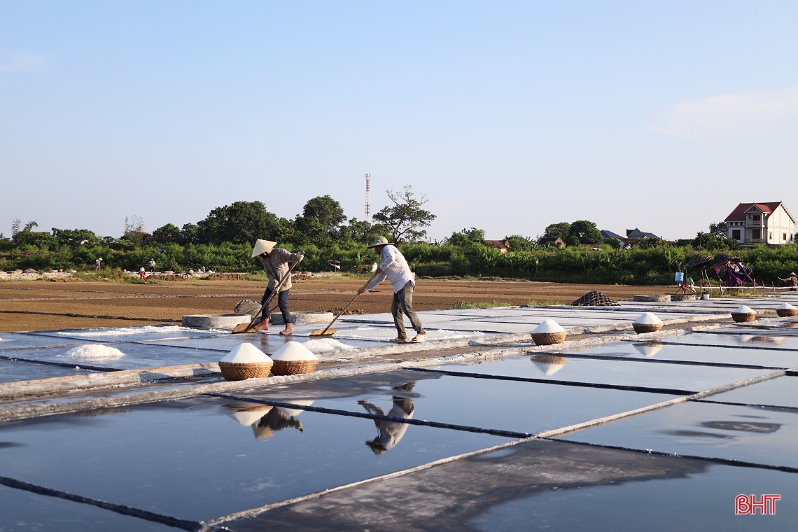 Giá muối tăng, diêm dân Hà Tĩnh phấn khởi bám nắng sản xuất