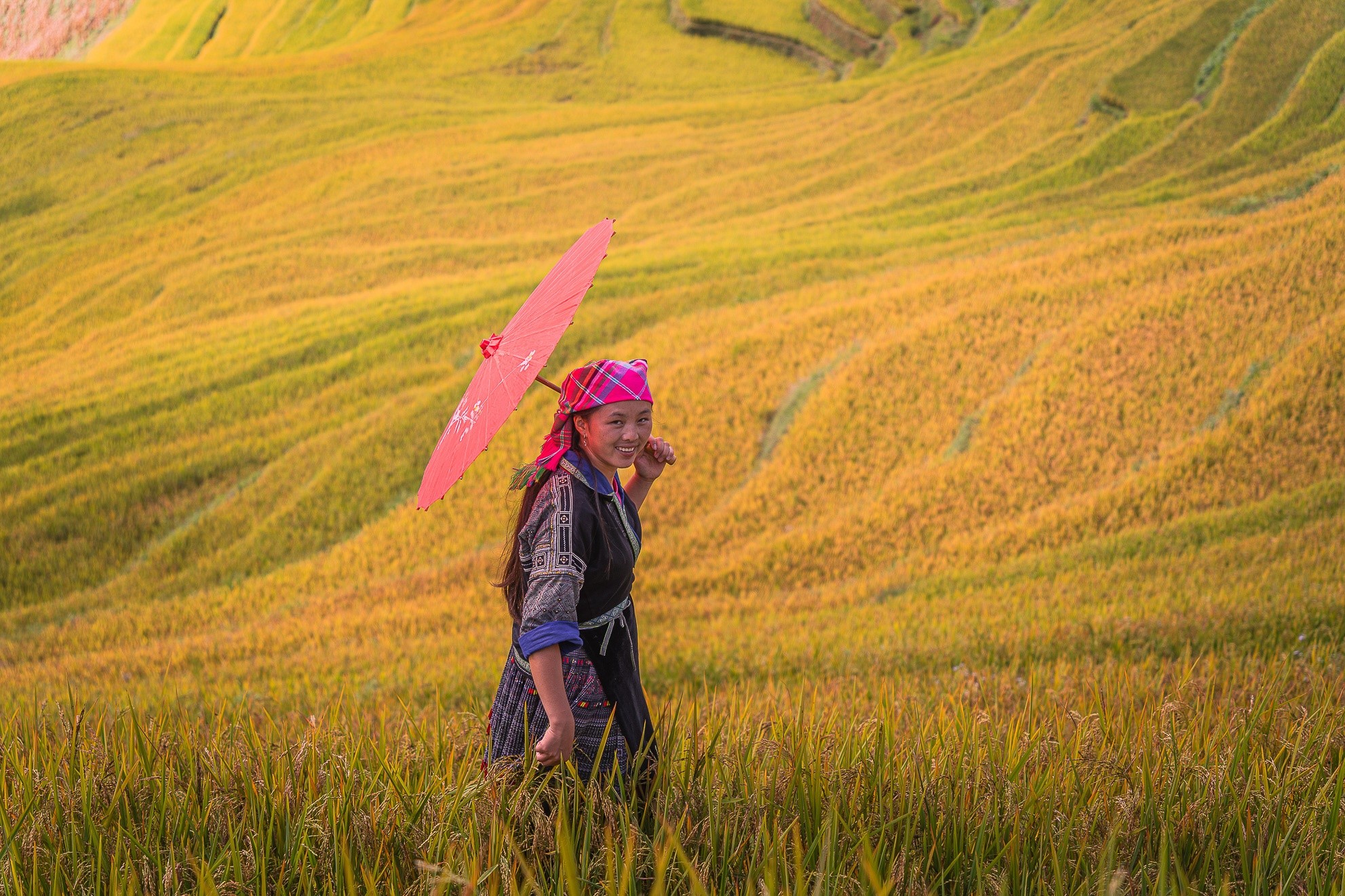 mucangchai-32.jpg