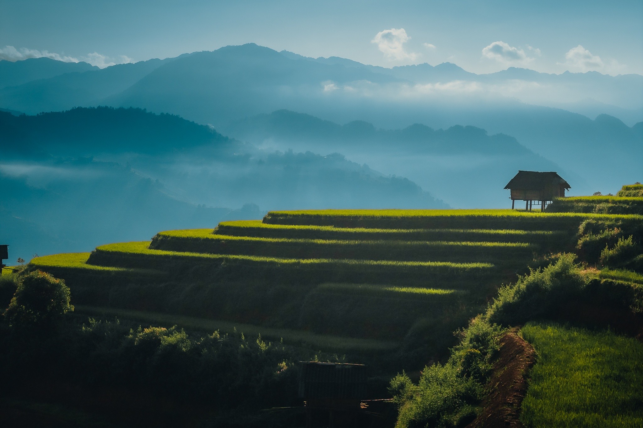 mucangchai-38.jpg