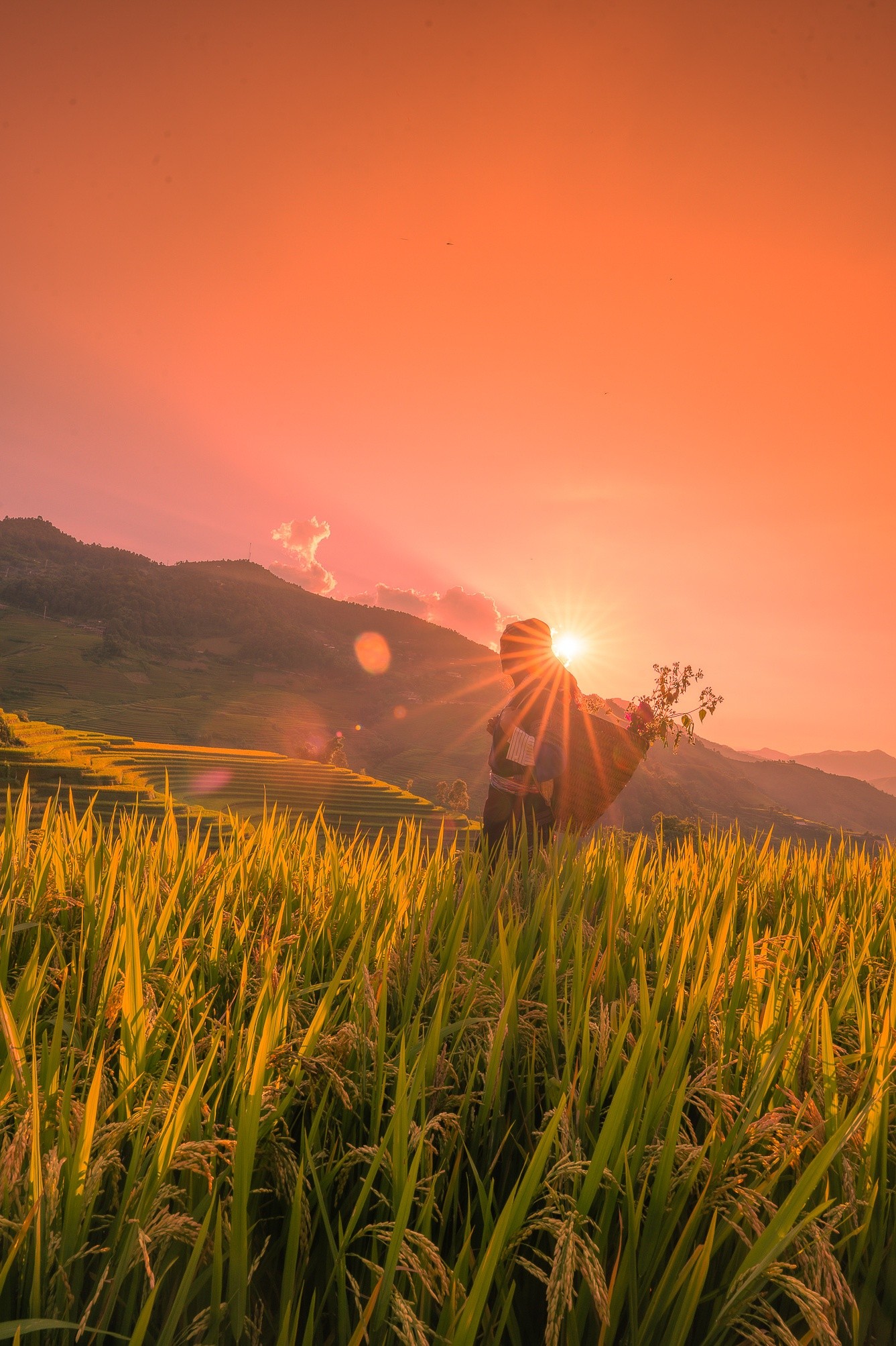mucangchai-48.jpg