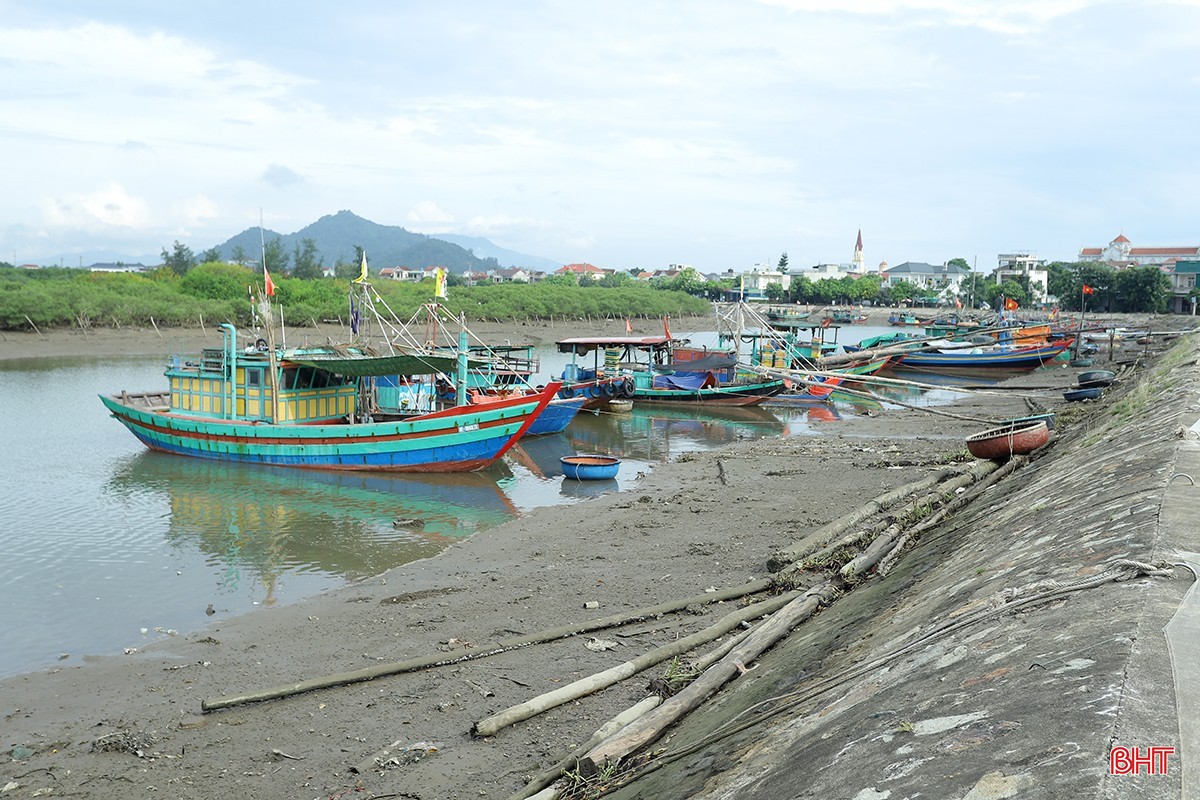 image-3.jpg