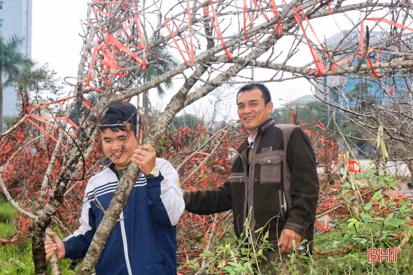 Hoa, cây cảnh chưng Tết “đổ bộ” thị trường Hà Tĩnh