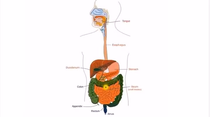 Những tiến bộ công nghệ đáng nể về y tế trong năm qua