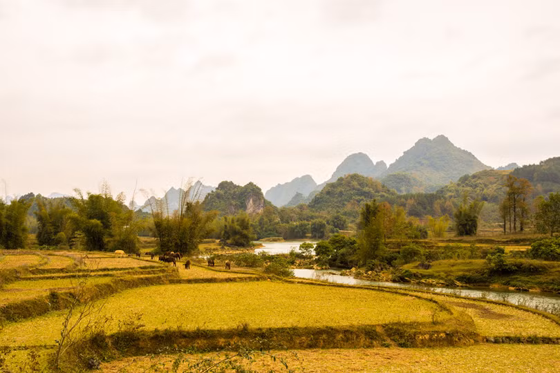Có một Cao Bằng đẹp như mùa thu trời Âu giữa ngày đông giá lạnh