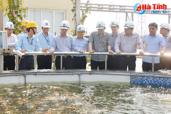 doan can bo uy vien du khuyet trung uong dang tham quan fomorsa ha tinh