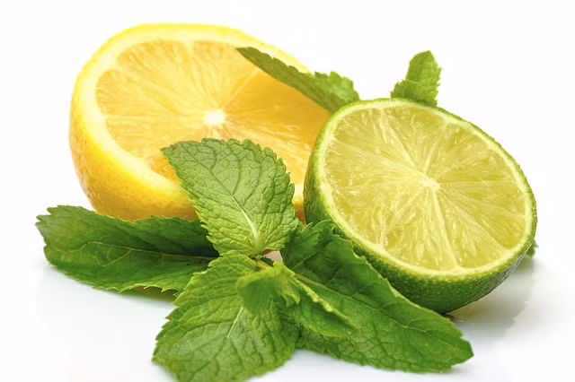 6 bai thuoc tu lam tri seo do mun trung ca rat hieu qua