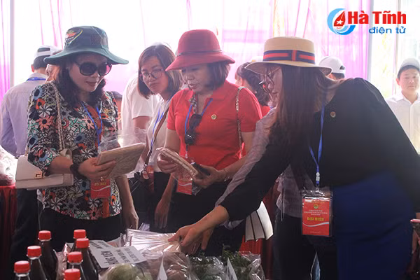 dai bieu ca nuoc an tuong voi nhung kdc kieu mau vuon mau ha tinh