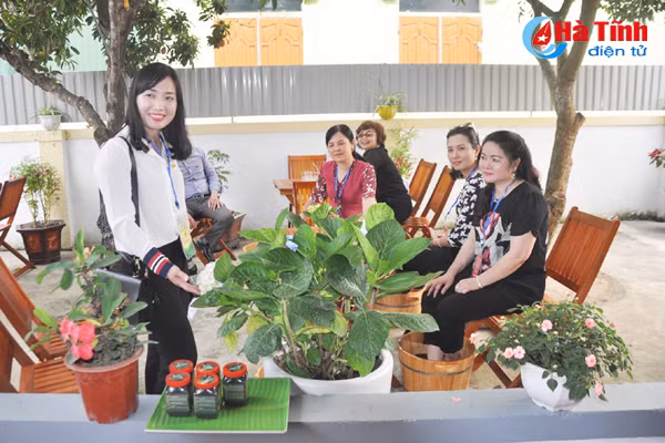 homestay phong giang ha tinh hay qua