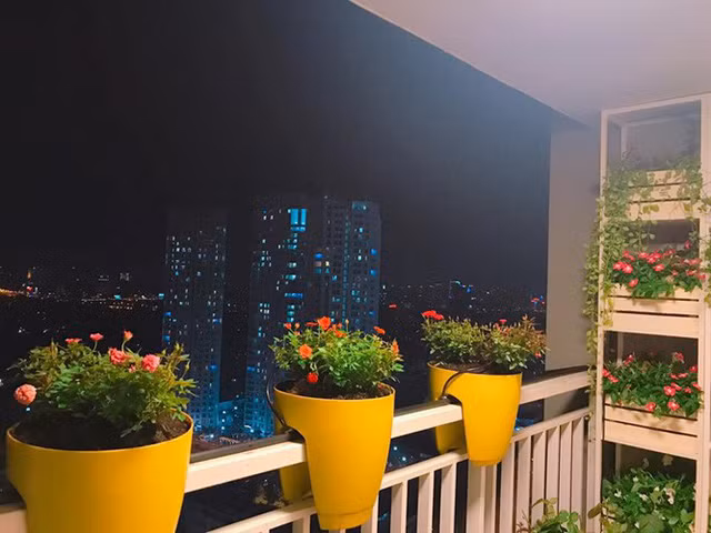 chon di ve sang trong dang mo uoc cua 4 hoa hau viet dinh dam