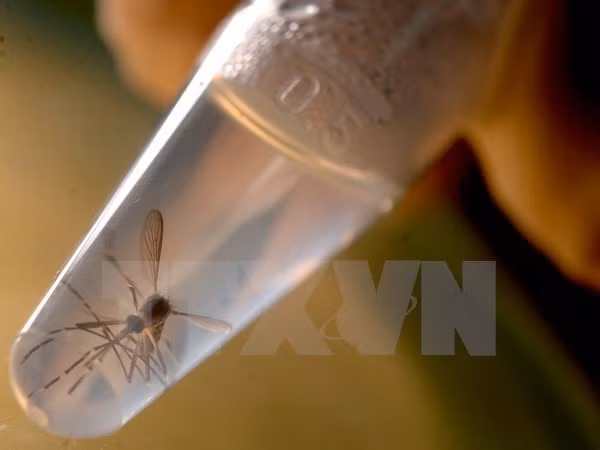 my phan bo khoan ngan sach 1 1 ty usd cho phong chong virus zika