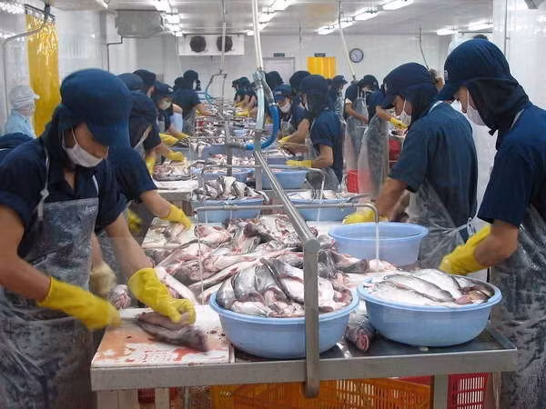 ban hanh chuong trinh dieu tra thong ke quoc gia