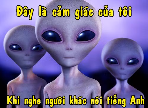 1 001 man doi dap tieng anh ba dao chi co o viet nam
