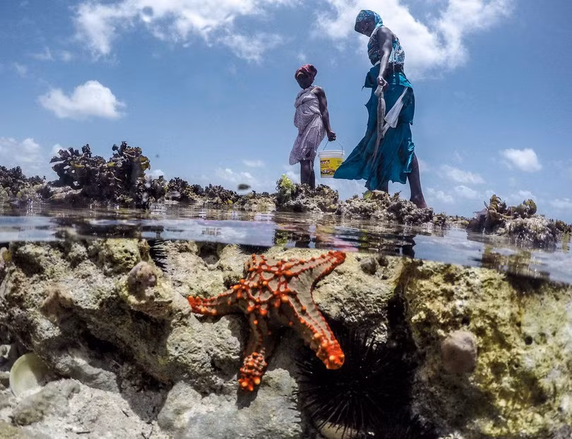 nhung tho san bach tuoc o zanzibar