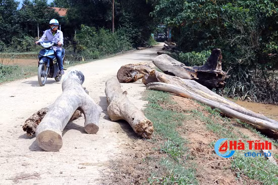 lu go tan cong nha dan o huong khe