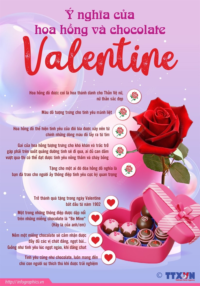 Ý nghĩa của hoa hồng và chocolate ngày Valentine [Infographics]