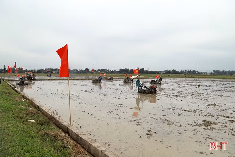 Phá bờ thửa nhỏ - cuộc “cách mạng” trên đồng ruộng Đức Thọ