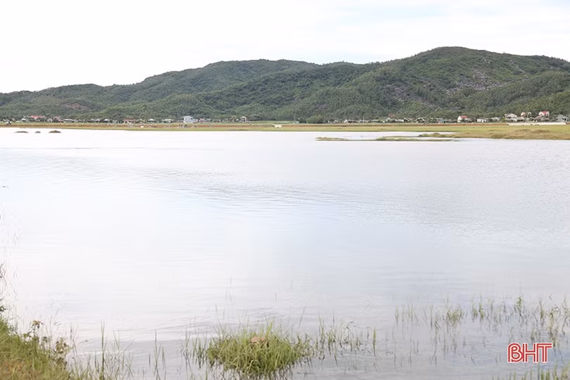 Huy động máy xúc “giải cứu” 700 ha lúa ngập trong nước ở Kỳ Anh