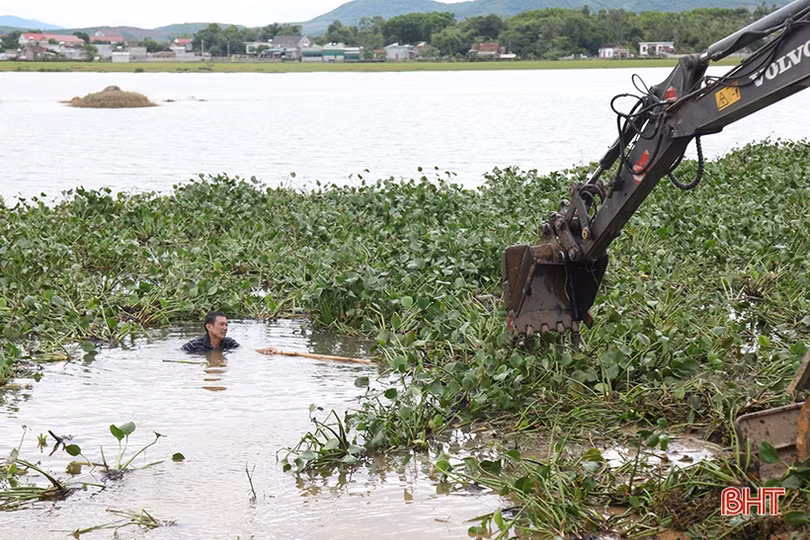 Huy động máy xúc “giải cứu” 700 ha lúa ngập trong nước ở Kỳ Anh