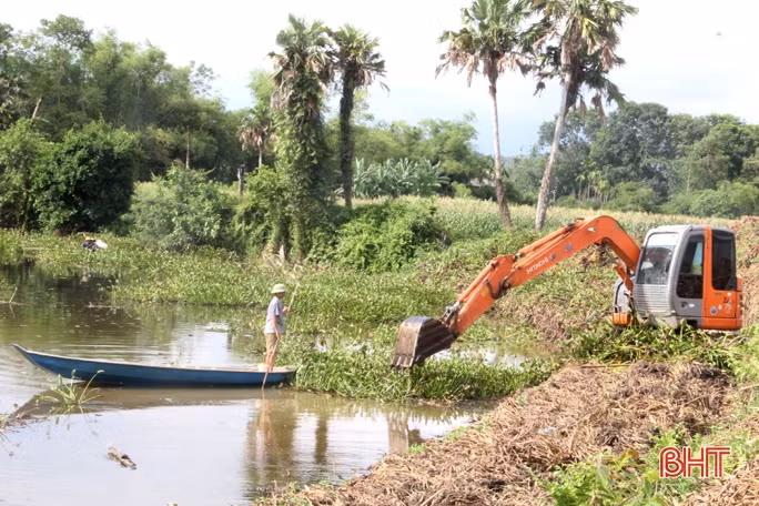 Bèo tây gây ô nhiễm xã miền núi Hương Sơn nhiều năm liền