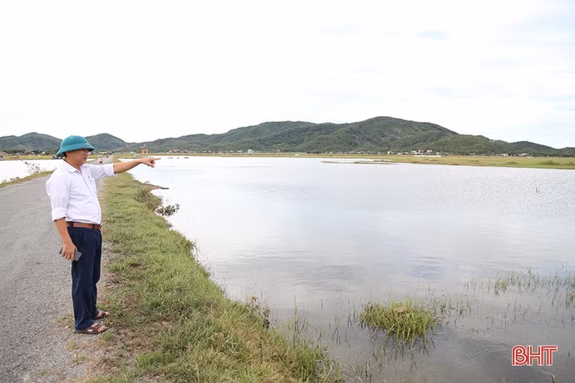 Huy động máy xúc “giải cứu” 700 ha lúa ngập trong nước ở Kỳ Anh