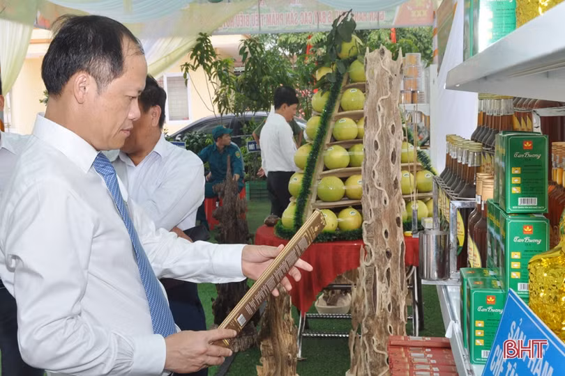 Ấn tượng gian hàng trưng bày sản phẩm nông nghiệp tiêu biểu của Hương Khê