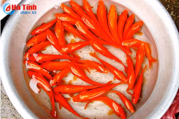 nhon nhip thi truong vat pham tien ong cong ong tao