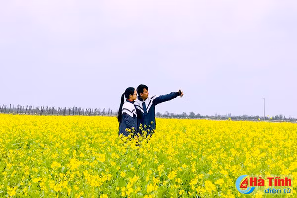 dong noi thoi mien du khach voi dong cai vang tuyet dep
