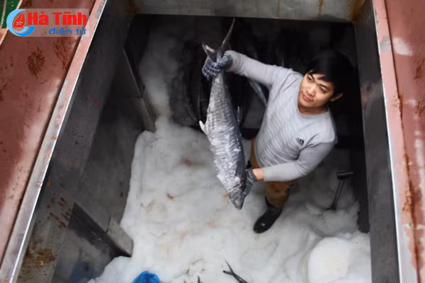 video tau vo thep cua ngu dan ha tinh trung dam ngay ap tet