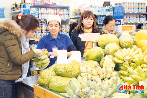 ha tinh gan 800 ty dong hang hoa phuc vu tet nguyen dan