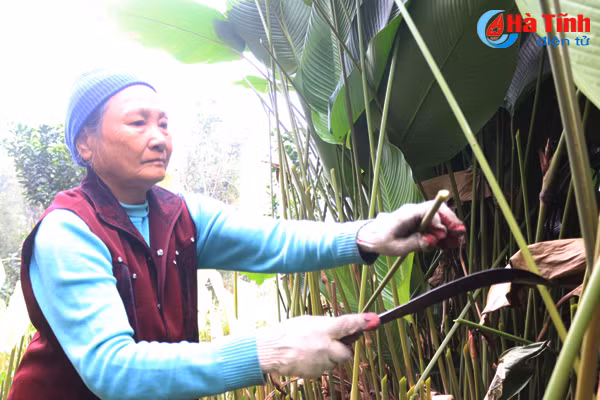 video lang la dong co tieng o ha tinh hoi ha vao vu tet