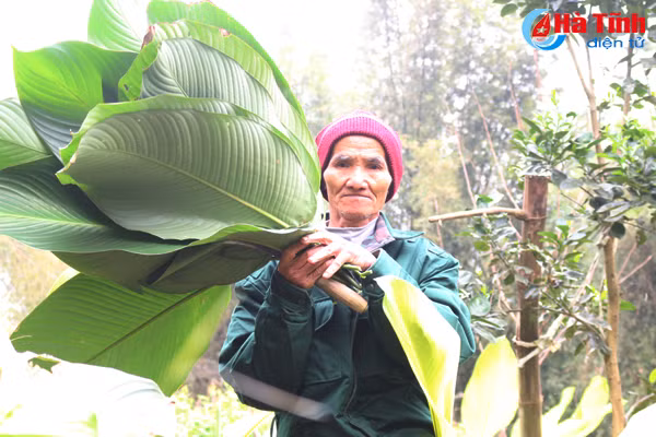 video lang la dong co tieng o ha tinh hoi ha vao vu tet