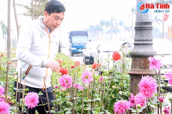 hoa cay canh tet sot tu hang truyen thong den loai doc la
