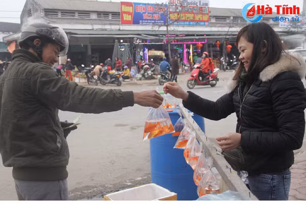 nhon nhip thi truong vat pham tien ong cong ong tao