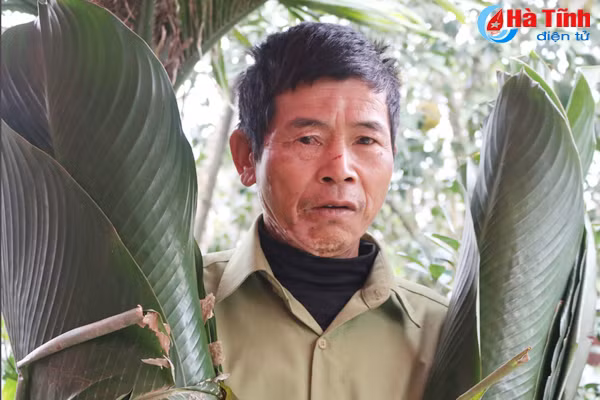 video lang la dong co tieng o ha tinh hoi ha vao vu tet