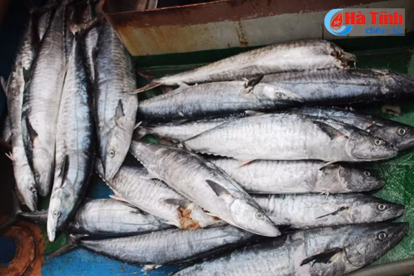 video tau vo thep cua ngu dan ha tinh trung dam ngay ap tet