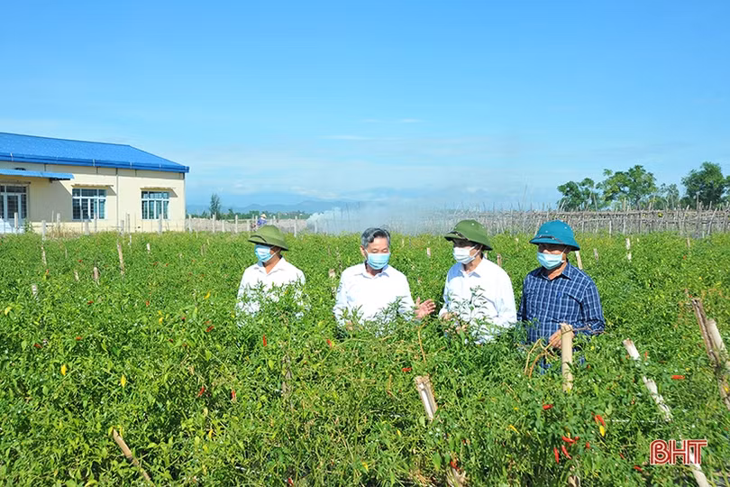 Cộng đồng dân cư giám sát truy xuất nguồn gốc sản xuất rau ở xã nông thôn mới kiểu mẫu Hà Tĩnh