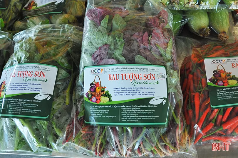 Cộng đồng dân cư giám sát truy xuất nguồn gốc sản xuất rau ở xã nông thôn mới kiểu mẫu Hà Tĩnh