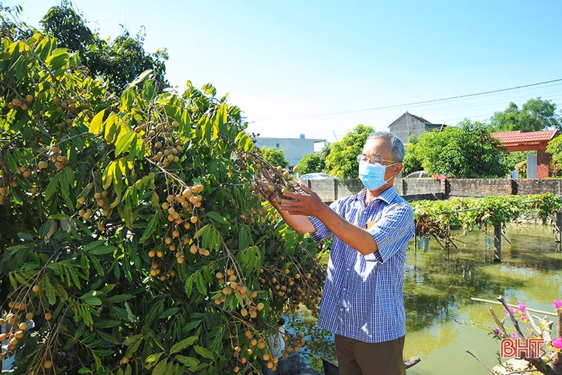 Cộng đồng dân cư giám sát truy xuất nguồn gốc sản xuất rau ở xã nông thôn mới kiểu mẫu Hà Tĩnh