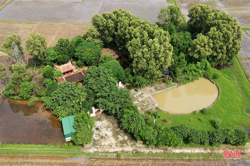 dt-dji-fly-20241024-101842-12-1729740017513-photo-5997-6978.jpg