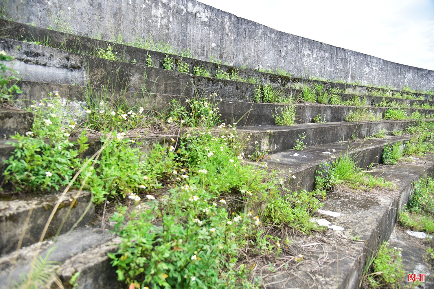 bqbht_br_dt-dsc0337.jpg