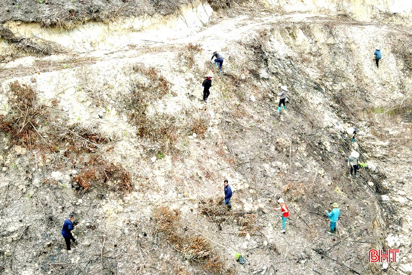 bqbht_br_dt-dji-0871.jpg
