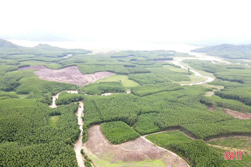 bqbht_br_dt-dji-0861.jpg