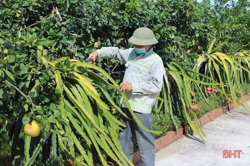 Ông Bí thư Chi bộ ở miền núi Vũ Quang hơn 30 năm “vác tù và hàng tổng” 