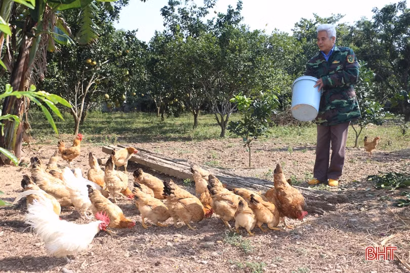 Ông Bí thư Chi bộ ở miền núi Vũ Quang hơn 30 năm “vác tù và hàng tổng” 