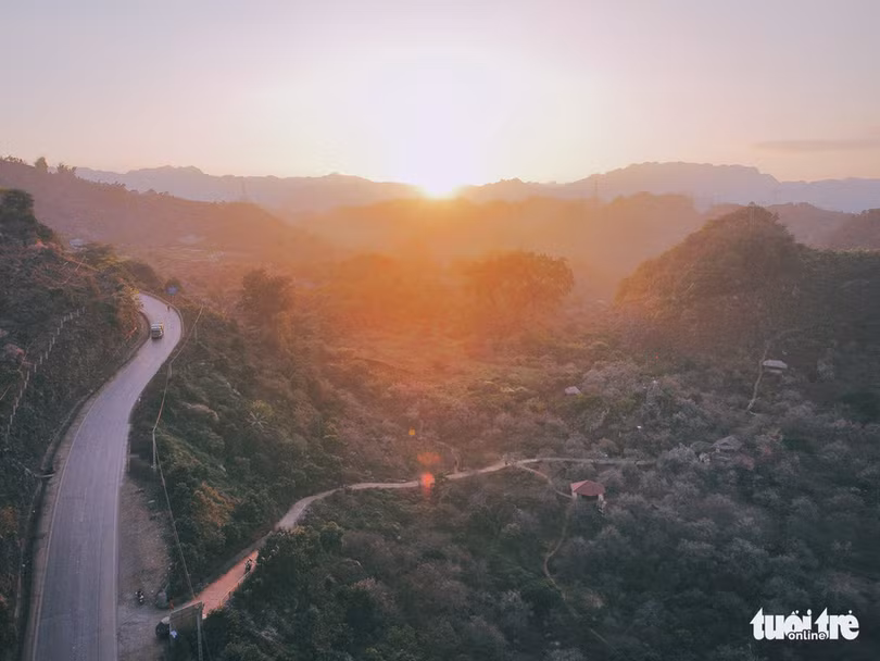 Ngắm thung lũng rừng mơ đẹp ‘đắm say’ lòng người ở Mộc Châu