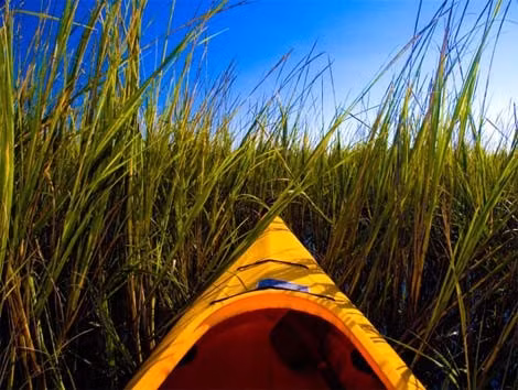 Đi thuyền kayak ở bang Nam Carolina.