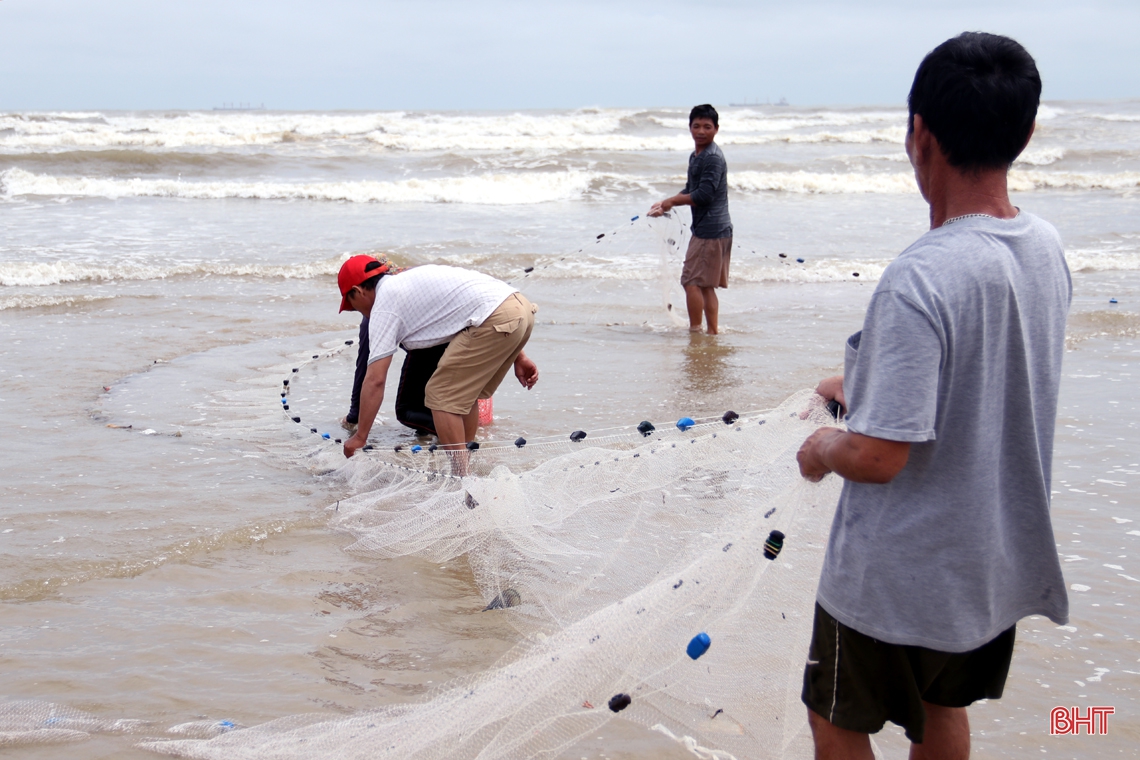 “Lộc biển” trôi dạt bờ, người dân TX Kỳ Anh ồ ạt đi gom