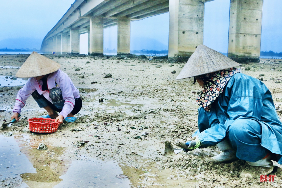 Xem phụ nữ miền biển Hà Tĩnh đục đá tìm hàu