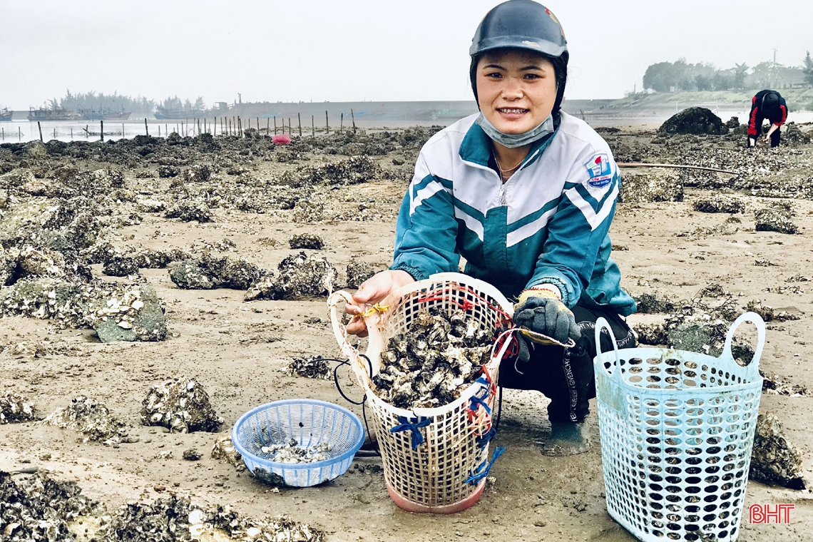 Xem phụ nữ miền biển Hà Tĩnh đục đá tìm hàu